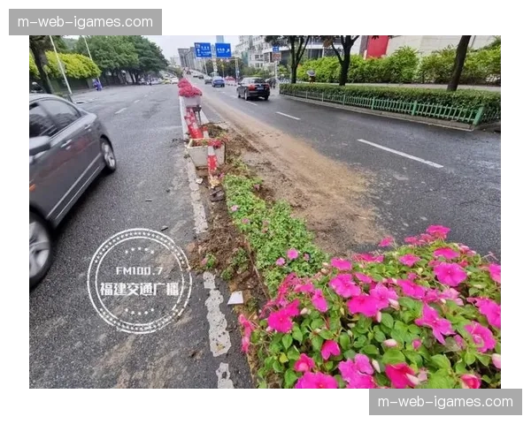 品牌安全隔离带 自动规避负面赛场突发事件下的曝光